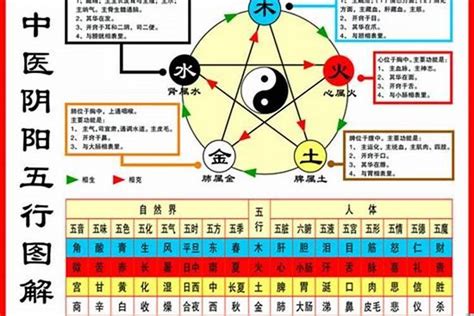 1984鼠五行|84年属鼠是什么命 84年属鼠的人和什么属相合